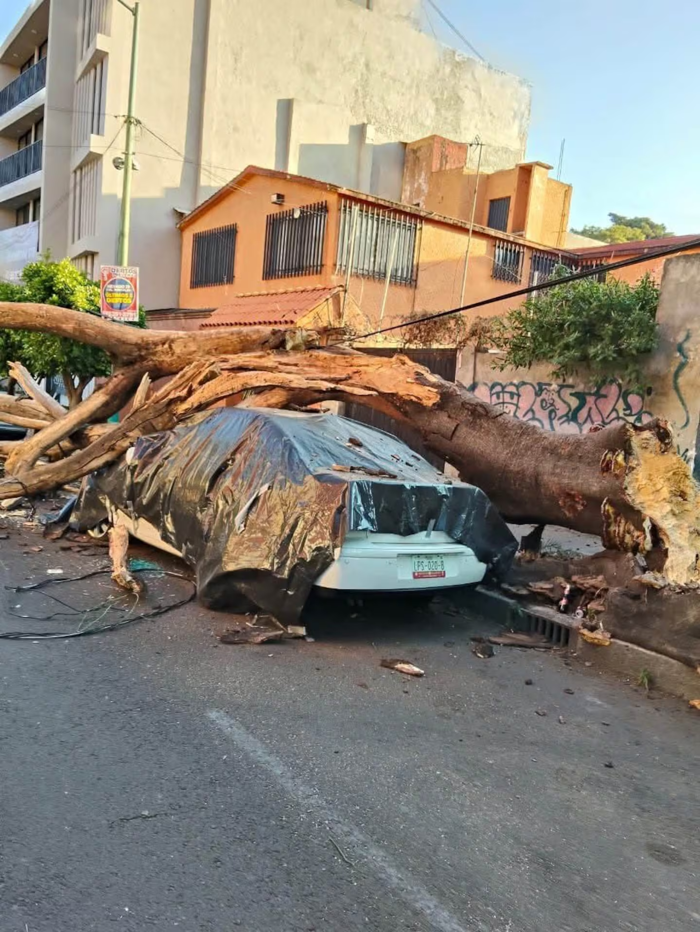 Se percibe sismo en CDMX, fallece una persona durante la evacuación