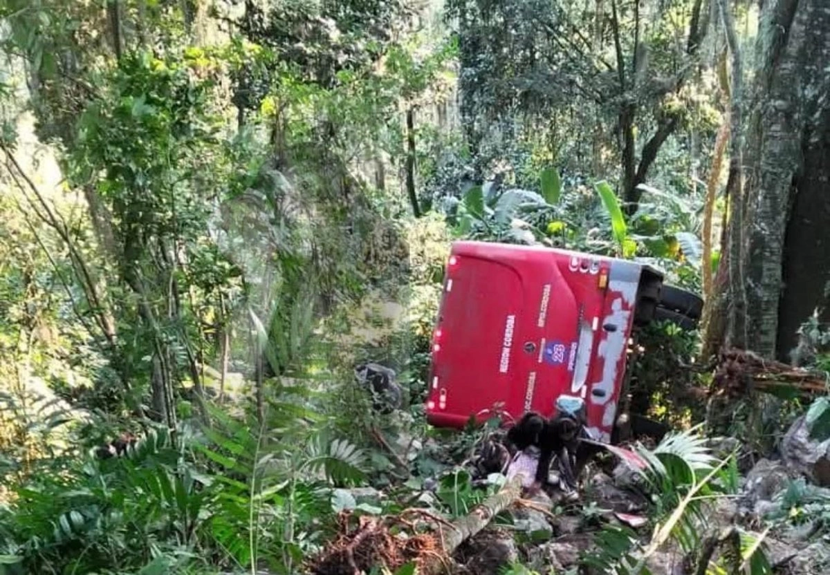 Autobús se desbarranca en Veracruz