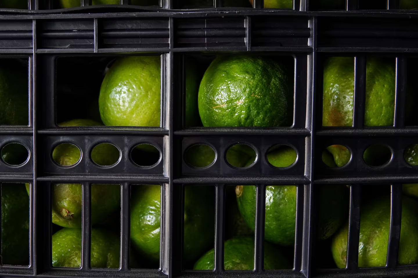 La ‘narcoinflación’ del ‘Bótox’: así afectaba al precio de los limones… y a tu bolsillo
