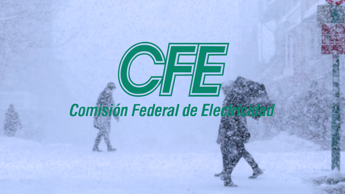 CFE garantiza suministro de electricidad a México por tormenta invernal