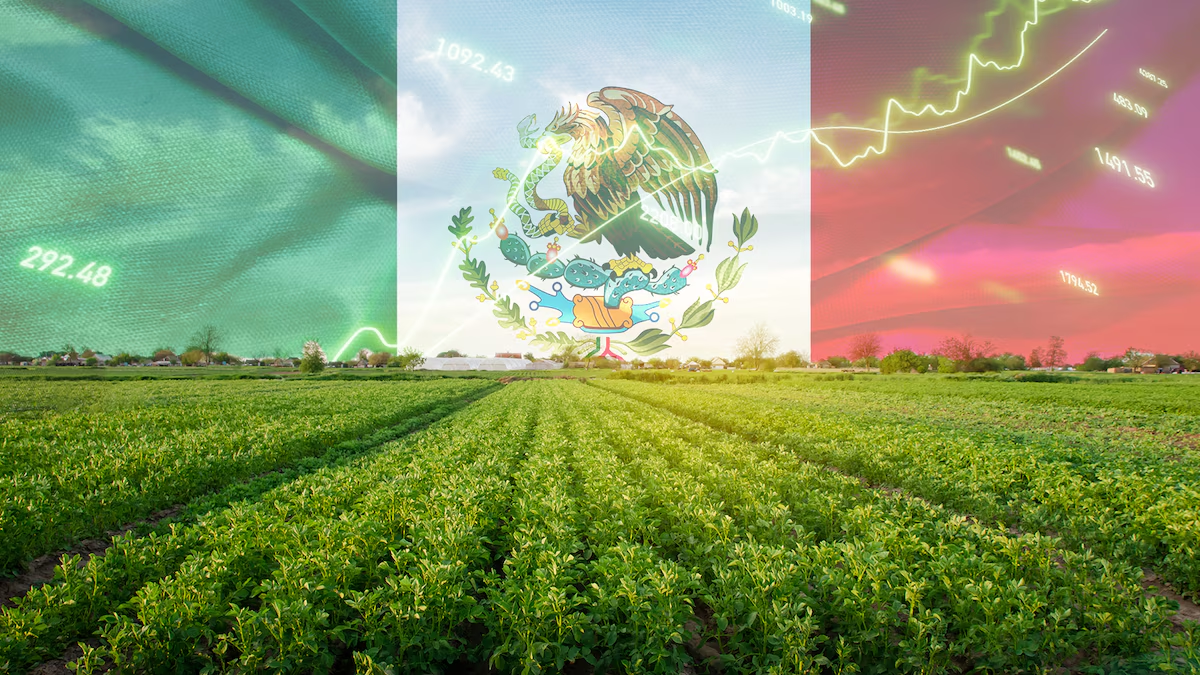 Campo ‘salva’ a la economía de México: Crece 0.7% en 2025