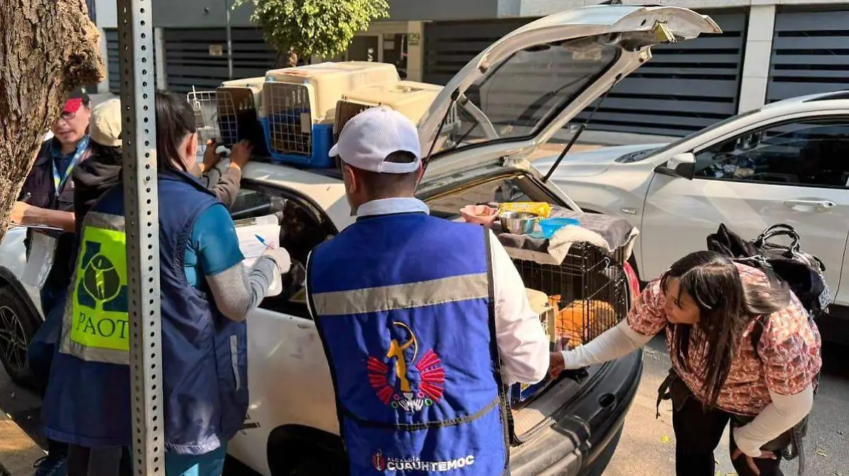 Alcaldía Cuauhtémoc supervisa condiciones de adopción animal en el Parque México