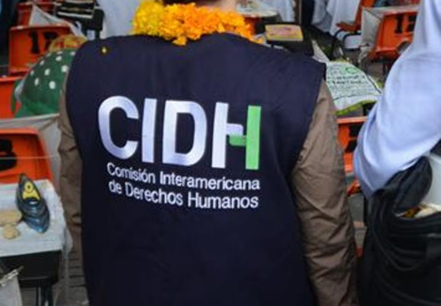 Respaldará Tribunal Electoral al Estado mexicano, ante impugnación en la CIDH contra reforma Judicial