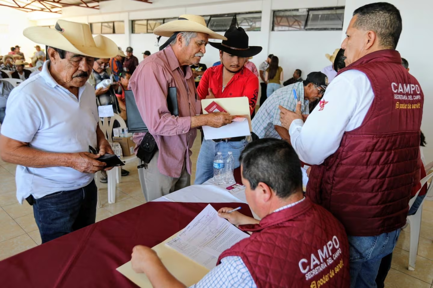 Mantiene EdoMéx control de contagios de gusano barrenador