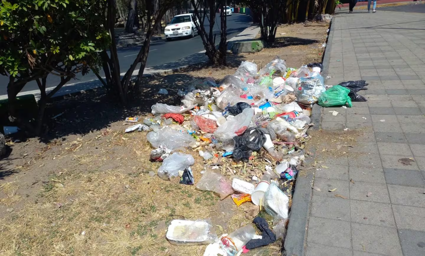 Propone Morena endurecer sanciones por tirar basura en espacios públicos de la CDMX