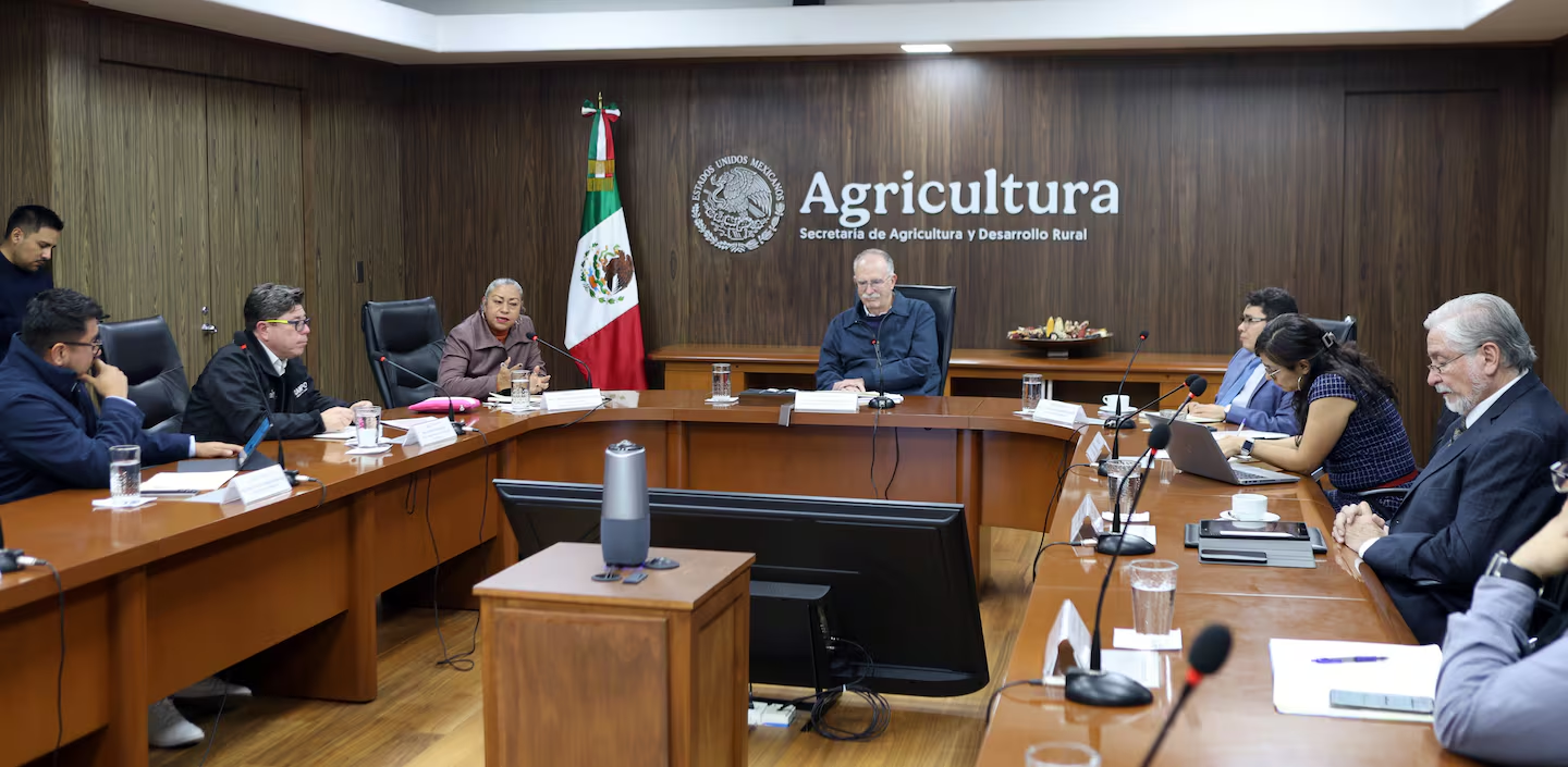 Avanza el Edomex en estrategia para combatir el gusano barrenador