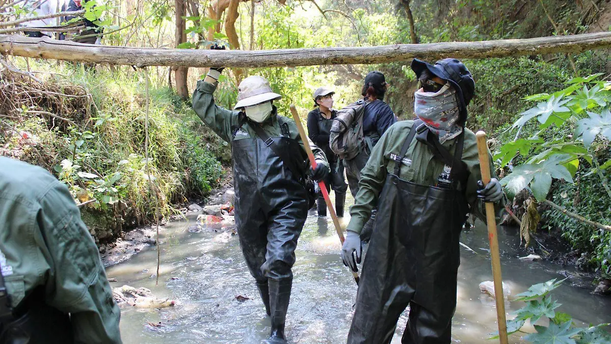Ejército, Marina y binomios caninos rastrean barrancas de Álvaro Obregón en segunda jornada de búsqueda