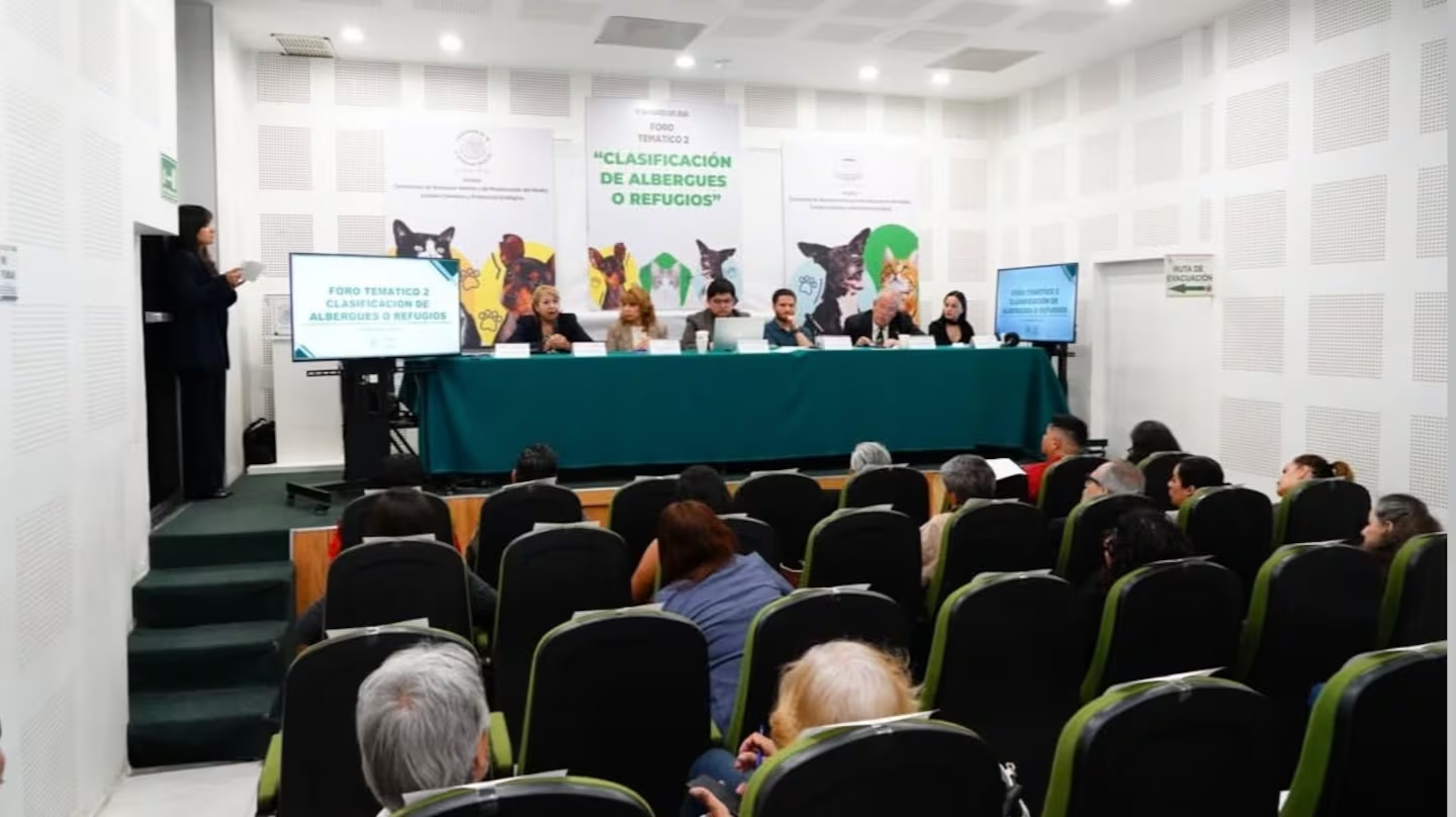 Congreso de la CDMX avanza en regulación de refugios de animales; buscan prevenir abandono