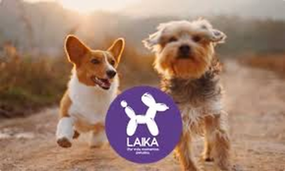 E-commerce enfocada en el bienestar animal presenta avances en servicios para el cuidado integral de mascotas
