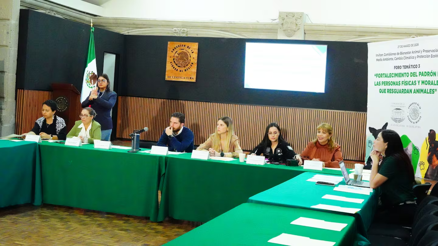 Congreso de la CDMX realiza tercer Foro de Bienestar Animal, rescatistas reprochan cero apoyo de autoridades