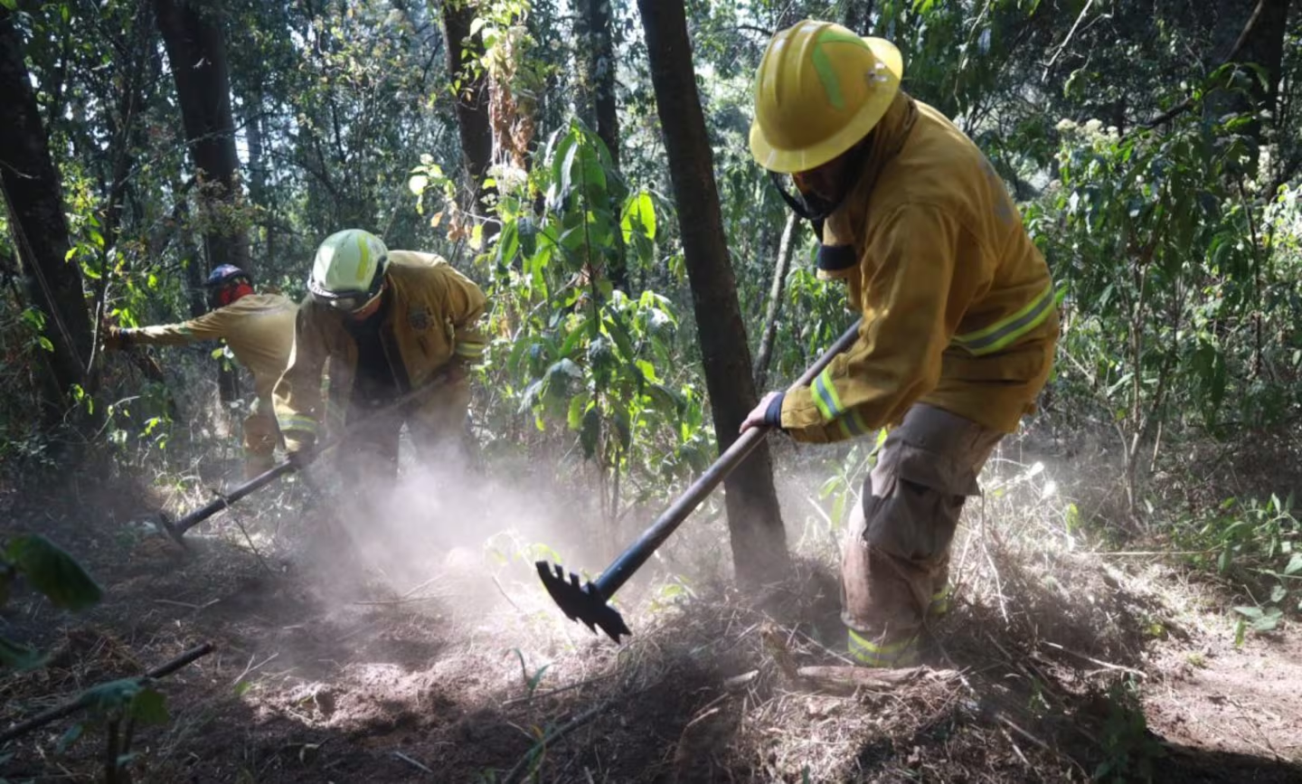 Huixquilucan refuerza protección de bosques con brechas cortafuego ante temporada de calor
