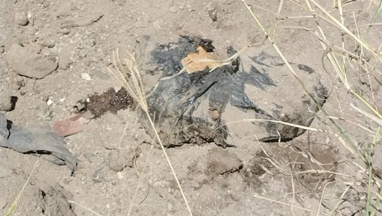 Hallan siete bolsas con restos humanos en Jalisco