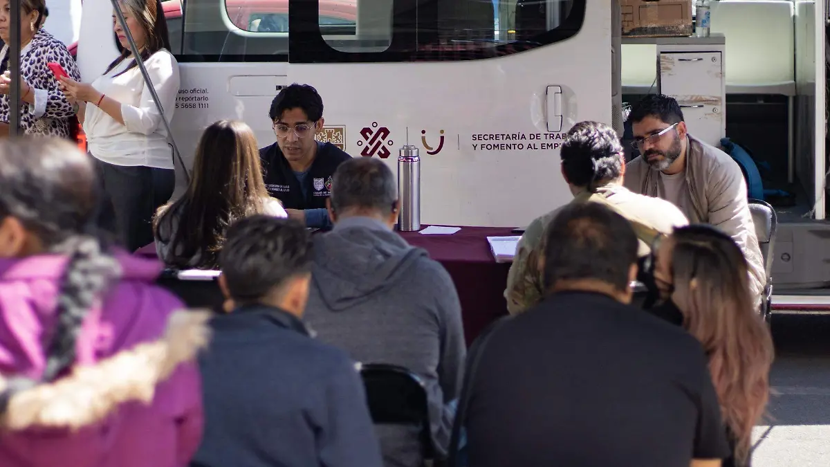 STyFE alcanza cifra récord de solicitudes para credenciales de trabajo no asalariado