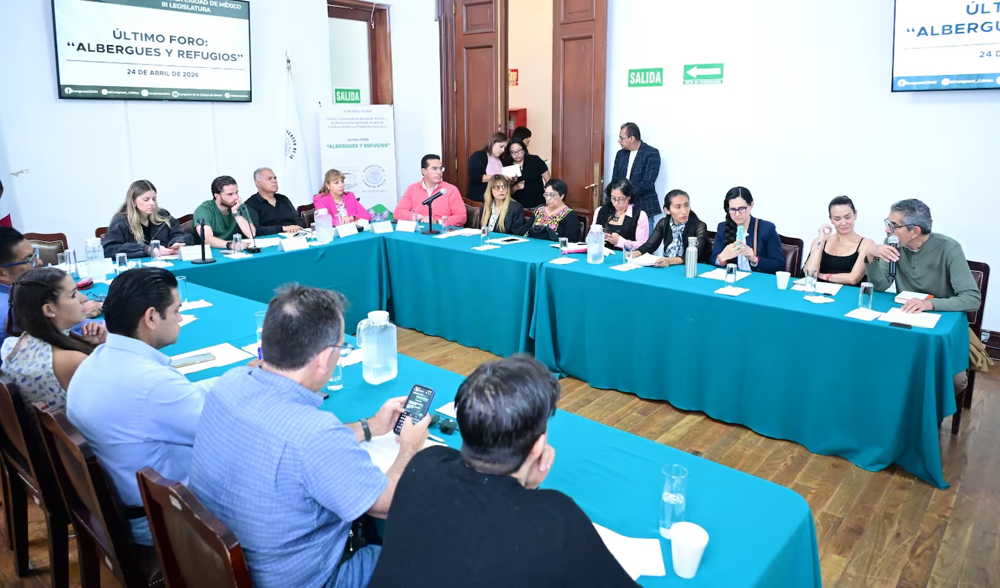 Concluyen foros sobre albergues y refugios de animales