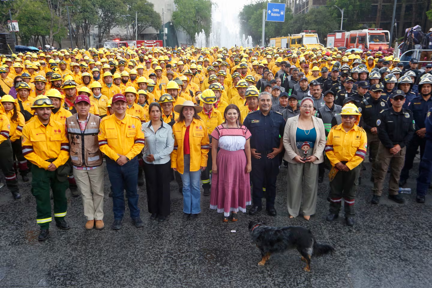 Arranca CDMX campaña contra incendios forestales; concentran prevención en Tlalpan y Milpa Alta