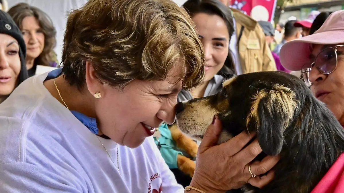 Crean Fondo de Bienestar Animal para proteger a los animales en Edomex