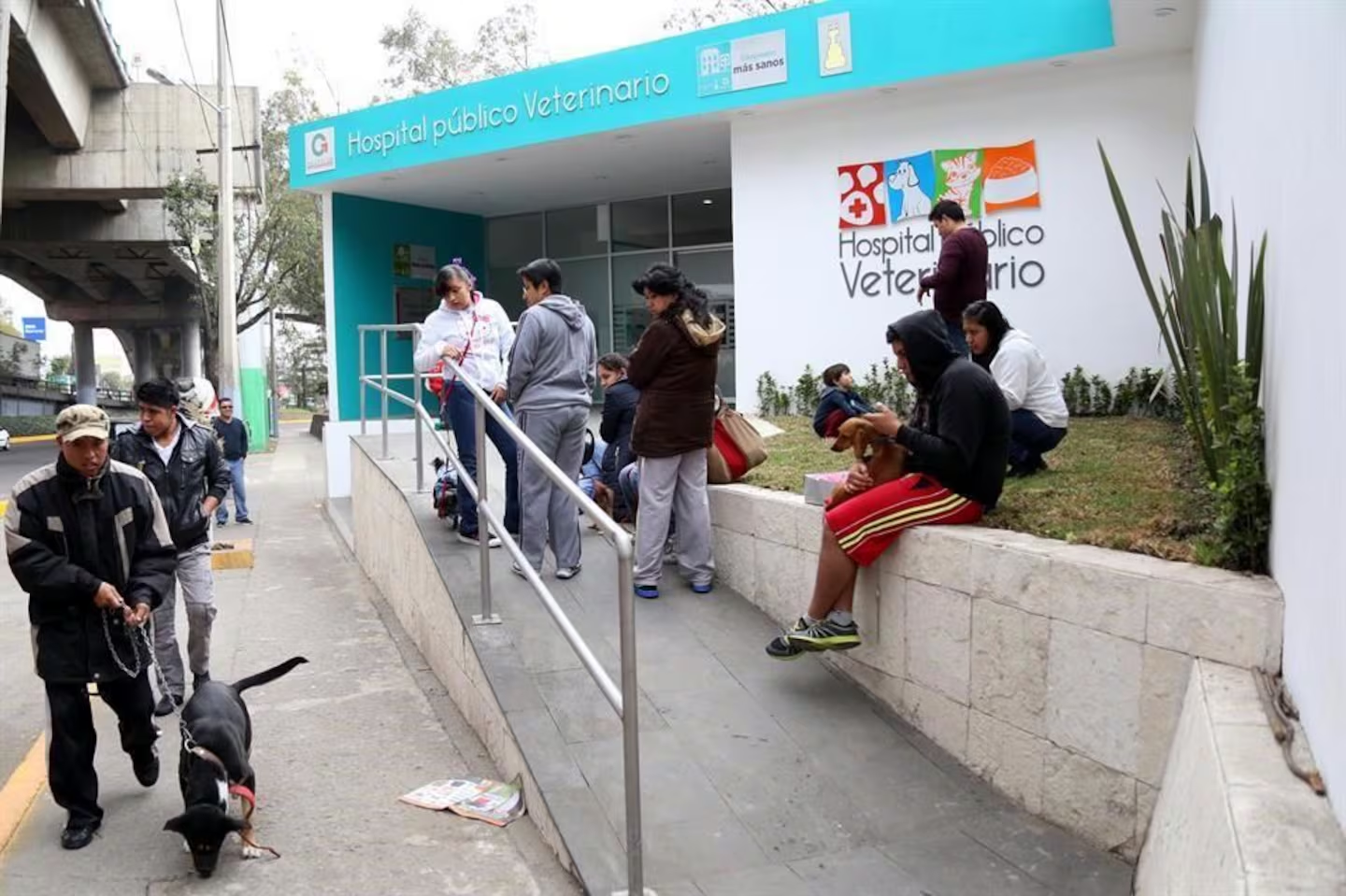 Reactivan Hospital Veterinario en Naucalpan para atención de animales de compañía