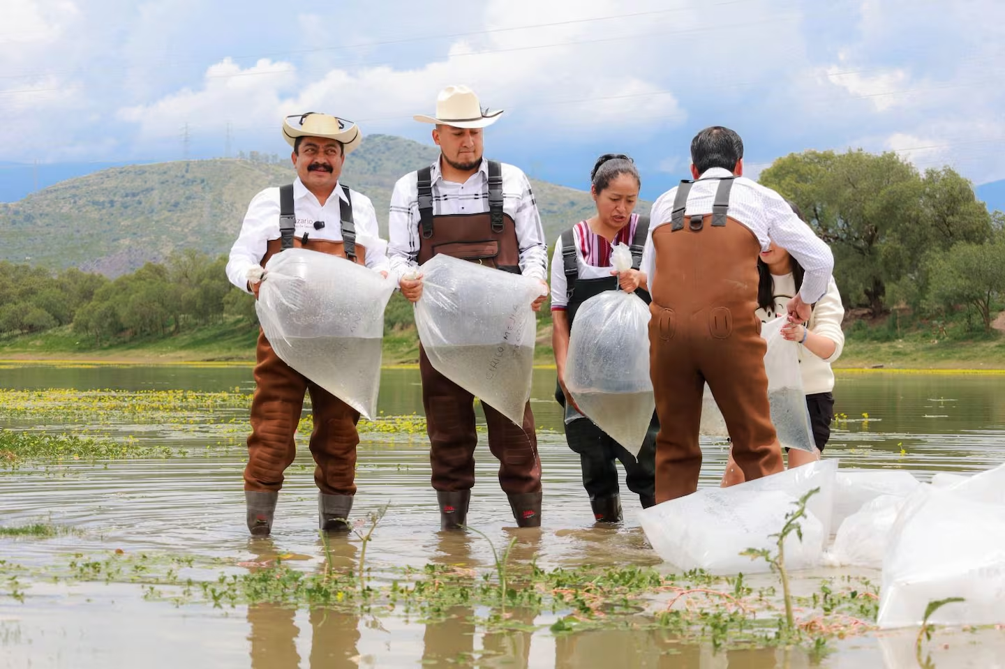 Texcoco siembra un millón de mojarras para impulsar producción de pescado y turismo sustentable