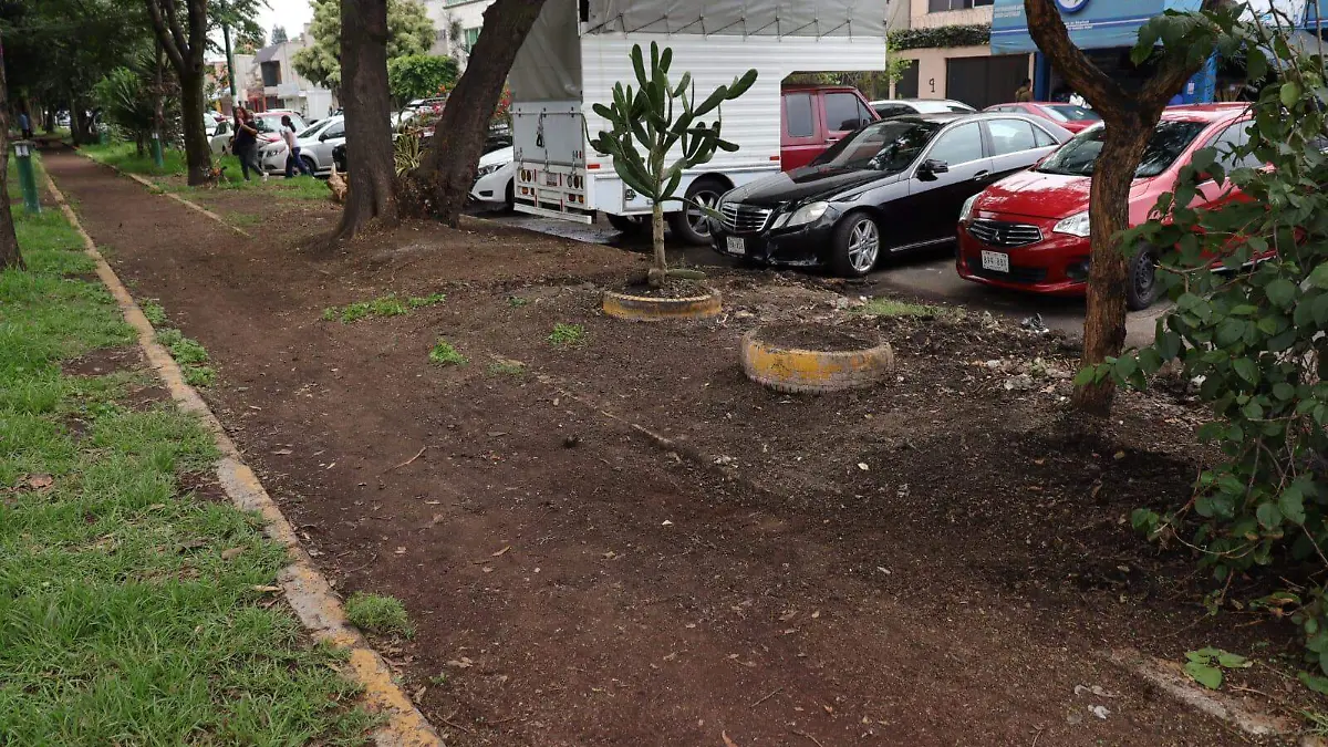 Retiran 230 toneladas de basura de parques y jardines de Coyoacán