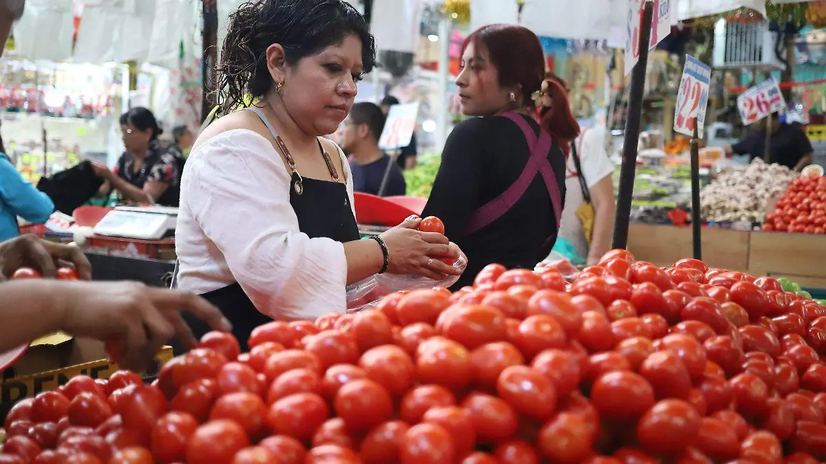 Busca Gobierno federal bajar precio del jitomate