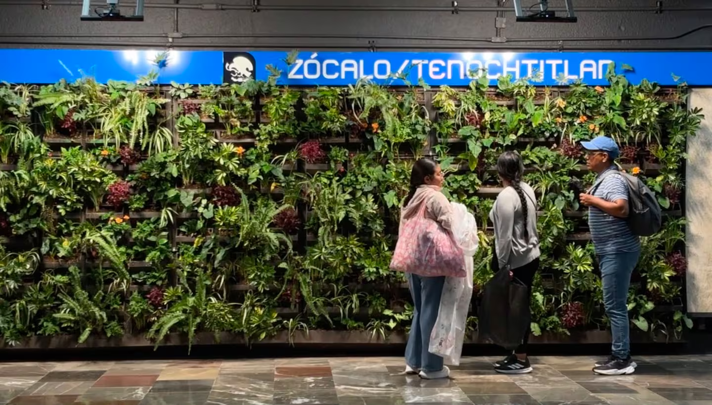 Metro instala muros verdes en ocho estaciones de la Línea 2 y aclara el costo de su instalación