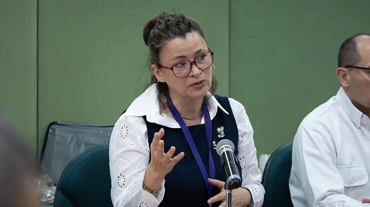 República Dominicana y México acuerdan fortalecer investigación en hidrocarburos y energía