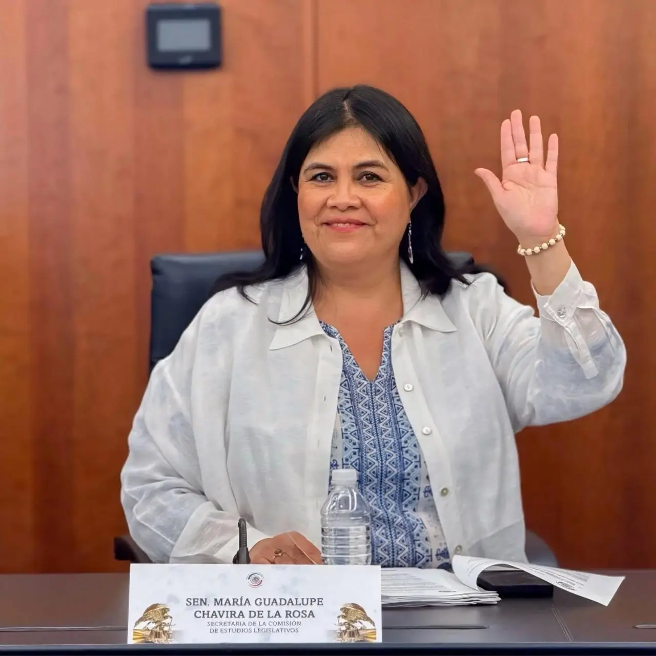 Senadora de Morena pide aclarar alcances y riesgos de la medida en CDMX por la policía auxiliar para infraccion ar