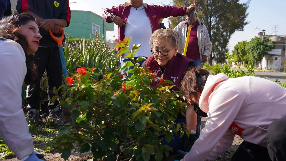 Siembran en la Segunda Campaña de Reforestación más de 350 buganvilias y astronómicas