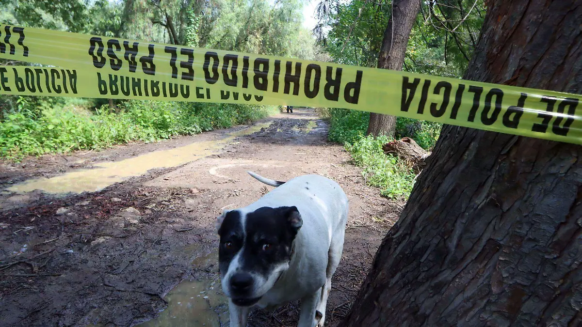 Matan a golpes a presunto asaltante en la colonia Nueva Tenochtitlán de la GAM