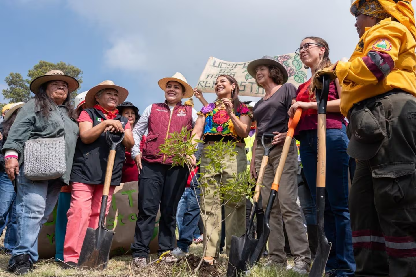 Planta CDMX 35 mil árboles en nueve puntos de conservación