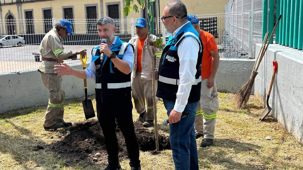 Rehabilitan Alameda de Tacubaya y retiran árboles secos con el programa Reverdece MH