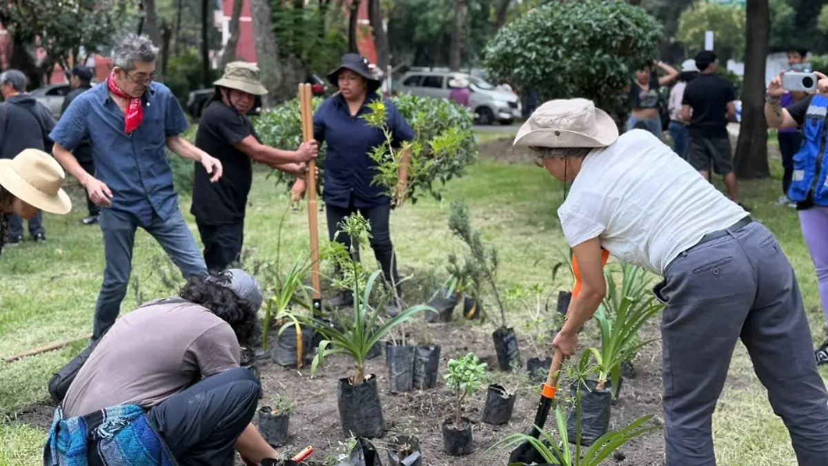Plantan 16 nuevas especies de árboles en la colonia Roma Sur