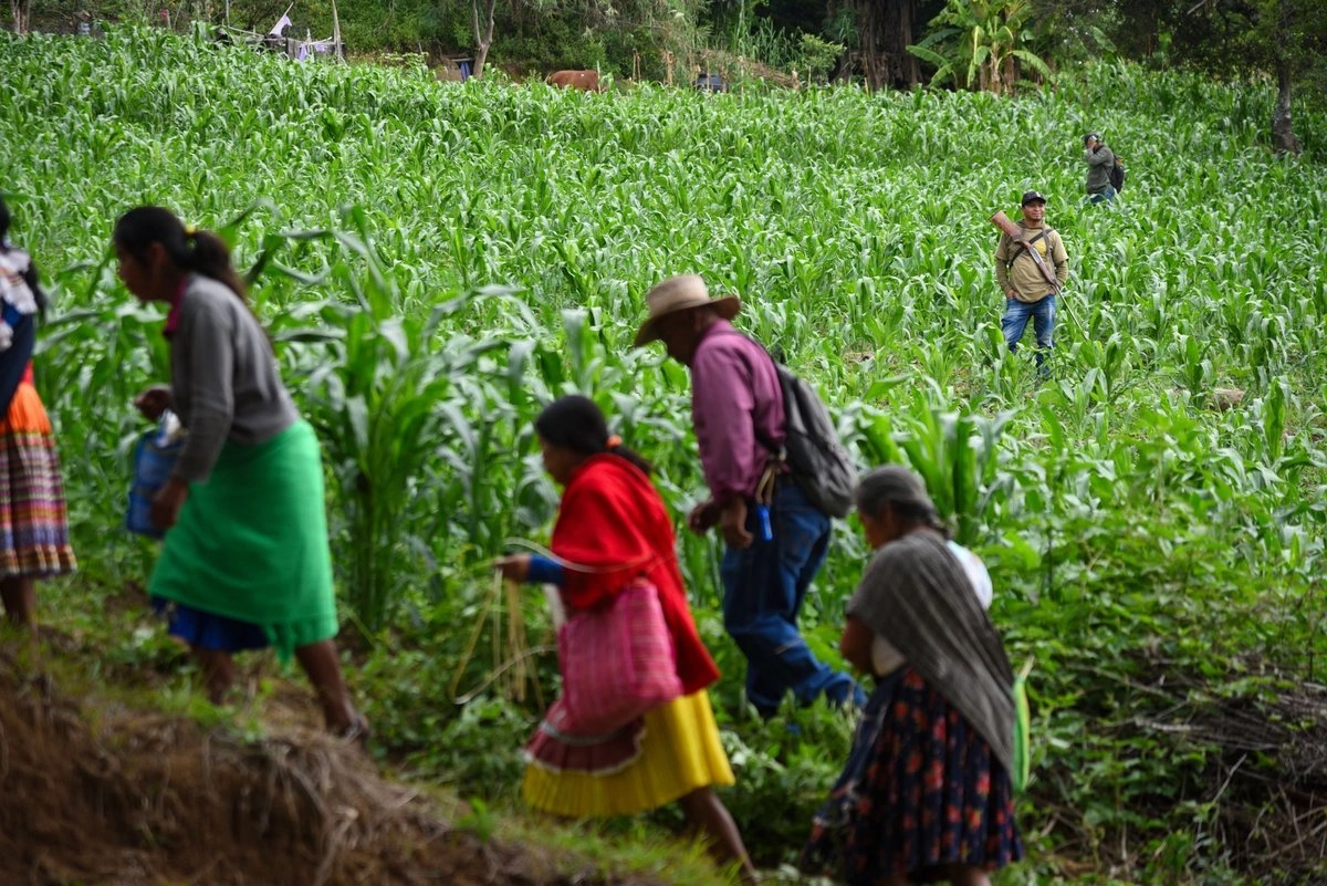 Familias desplazadas regresan a sus hogares en la Montaña de Guerrero; son atendidas por el gobierno federal