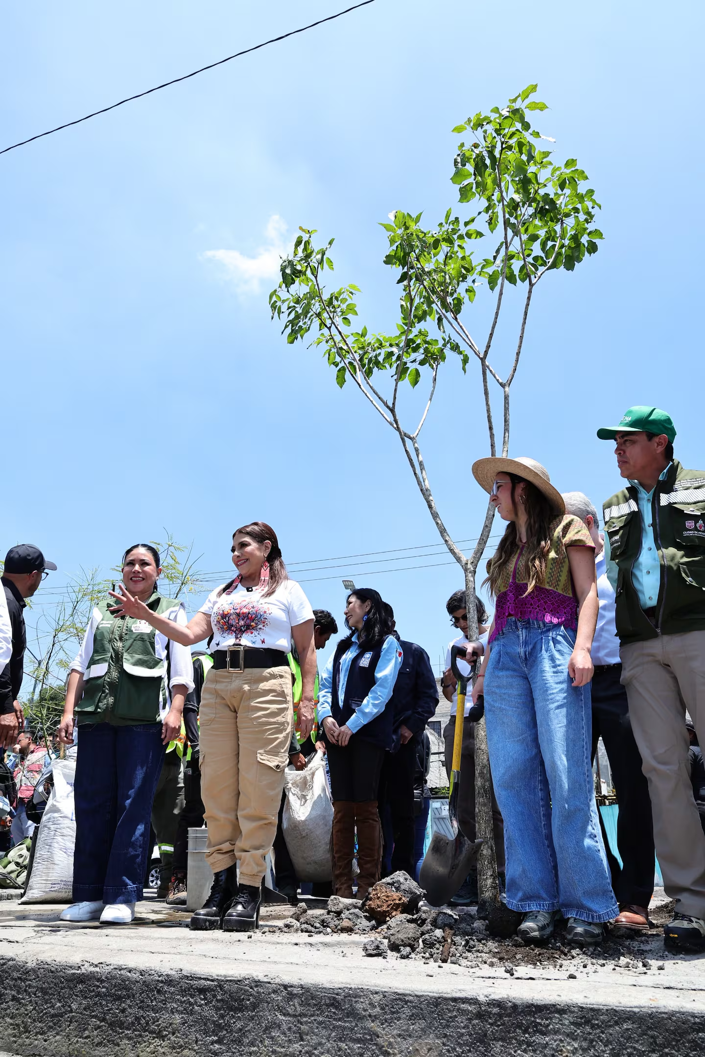 CDMX plantará un millón de árboles urbanos para reducir calor y desigualdad ambiental