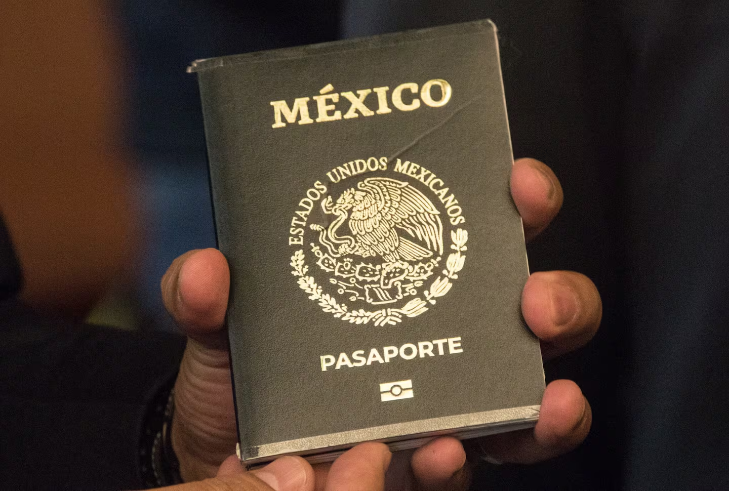 SRE propone negar pasaporte a deudores alimentarios inscritos en registro nacional