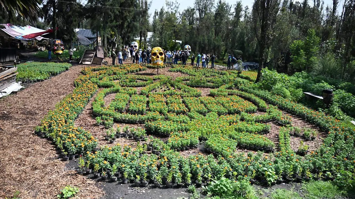 Pronatura lanza programa Alianzas Climáticas en Xochimilco y la Reserva Monarca