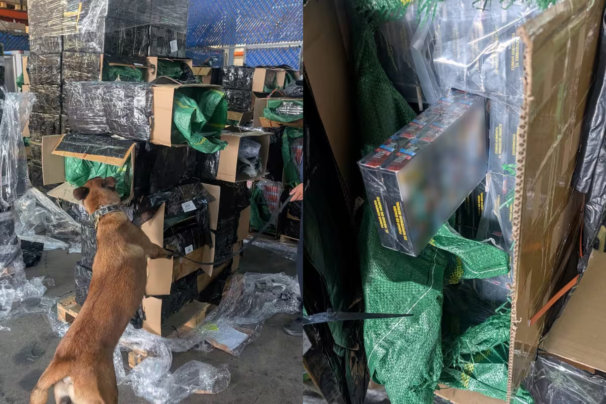 Aseguran 2.4 millones de cigarros presuntamente apócrifos en el AICM