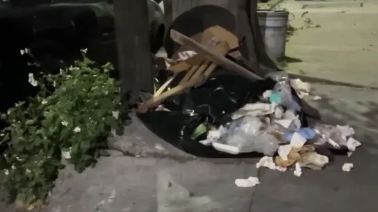 Bolsas con olor fétido movilizan a policías y un tronco provoca choques