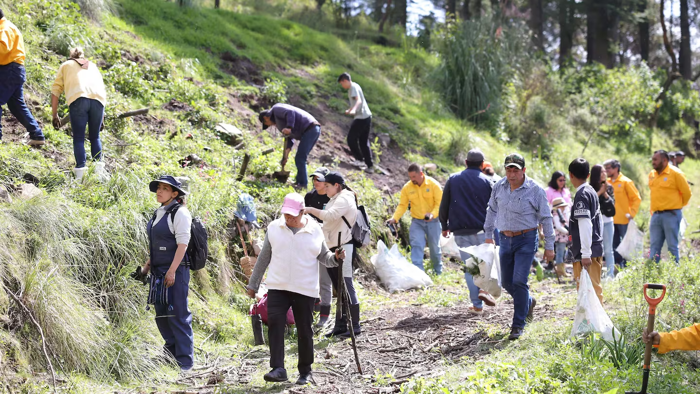 Huixquilucan supera los 15 mil árboles reforestados durante la temporada de lluvias