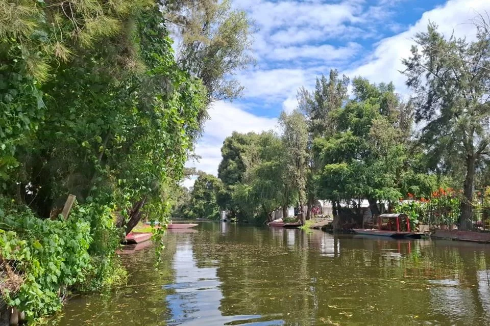 Hallan el cadáver de un hombre cerca del embarcadero de Zacapa en Xochimilco