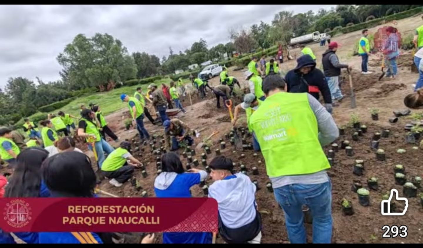 Instalan jardines y hoteles para polinizadores en el Parque Naucalli