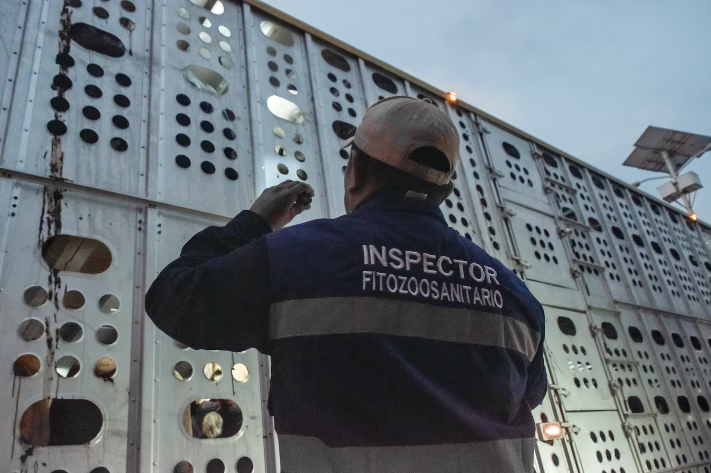 Senasica impide el traslado de 2 mil 371 cargamentos con plagas y enfermedades en México