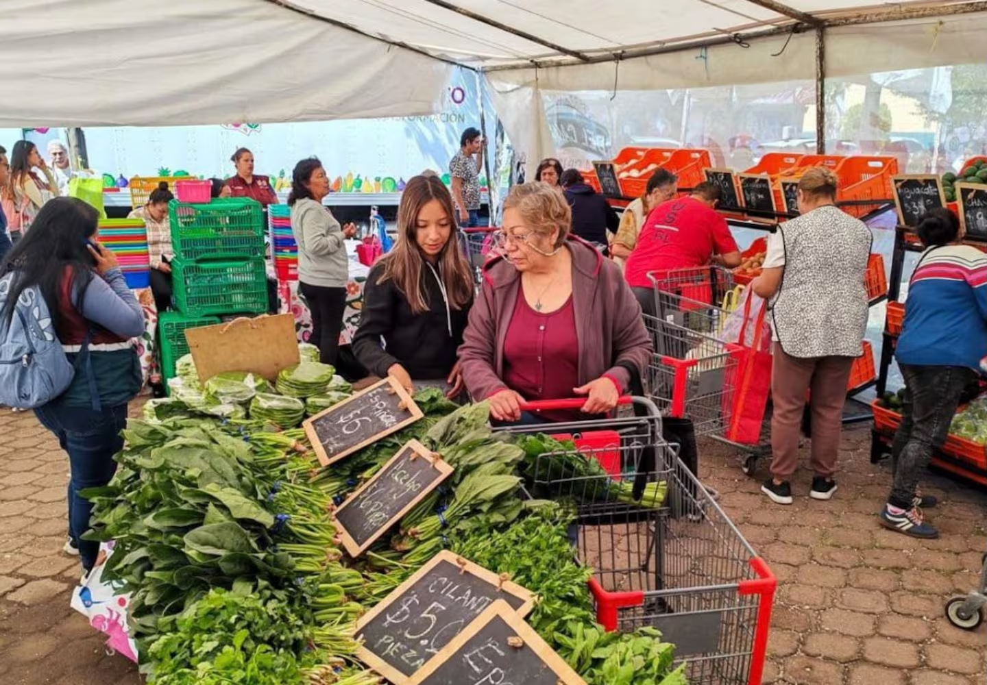 Impulsan venta directa de productos del campo a colonias de CDMX