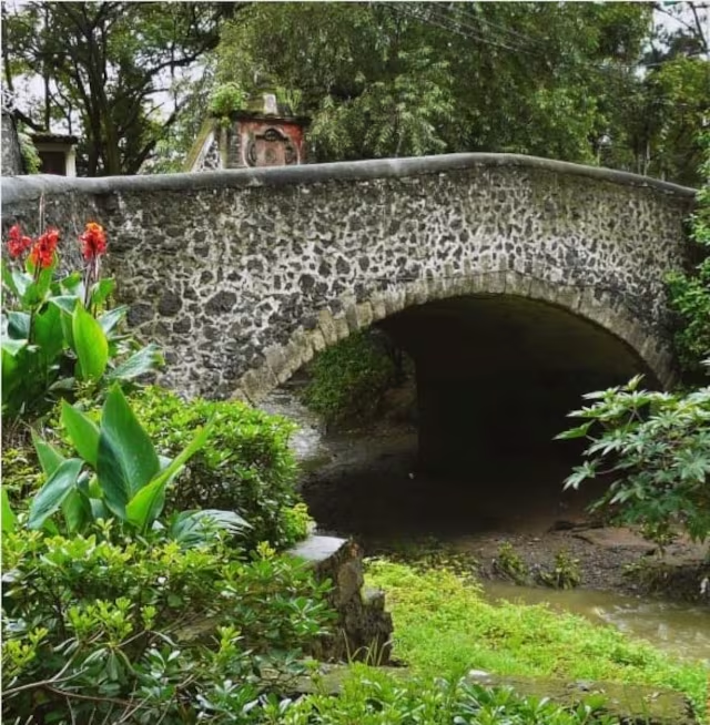 Coyoacán activa operativo para proteger el puente de Panzacola; busca evitar el estacionamiento irregular